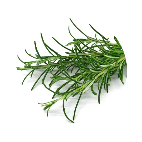 Rosemary